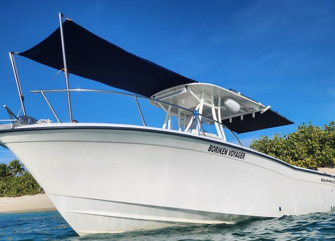 Yamaha VX