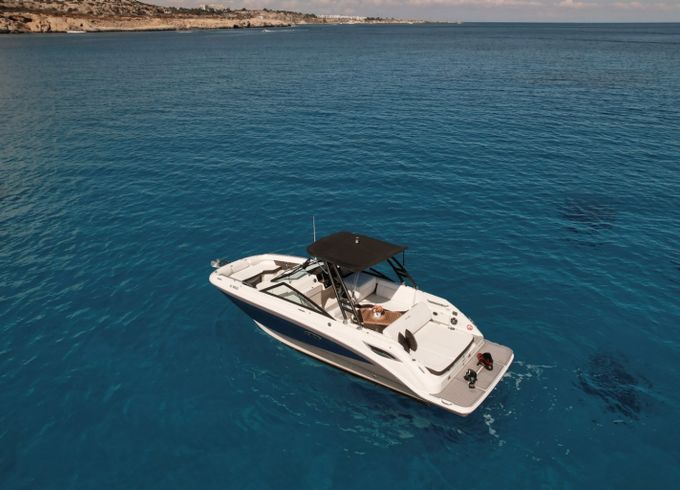 Sea Ray 250 sdx