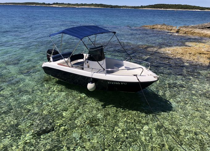 Fisher 17