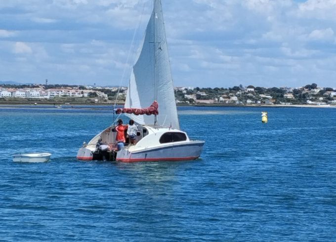 BoB cat Shamrock catamaran