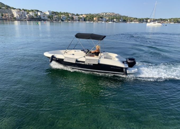 Bayliner Element E 5