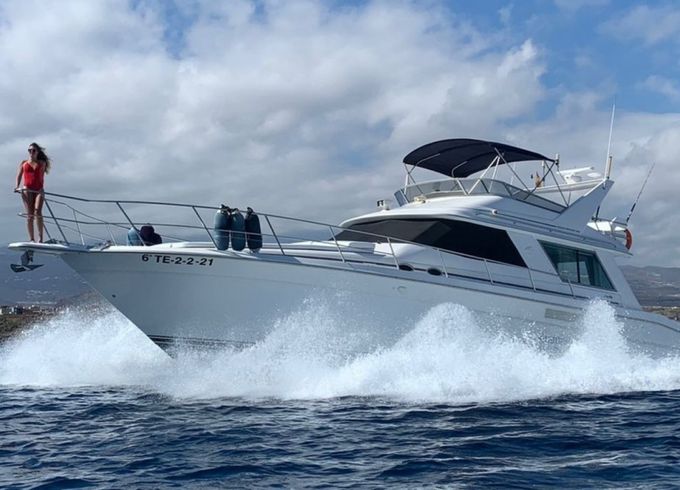 Sea Ray 550 Sedan Bridge