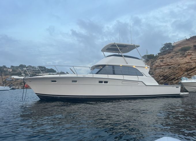Bertram 54