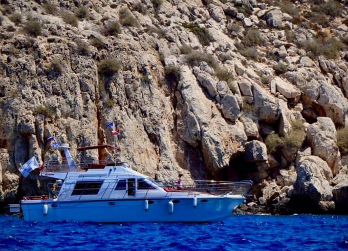 Brychwood45