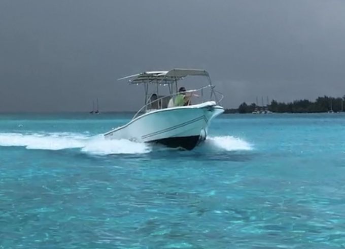 Kelt WHITE SHARK 225