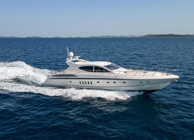 Arno Leopard Leopard 24