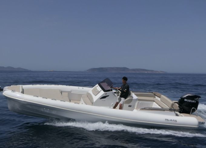 Pajara ribs 28