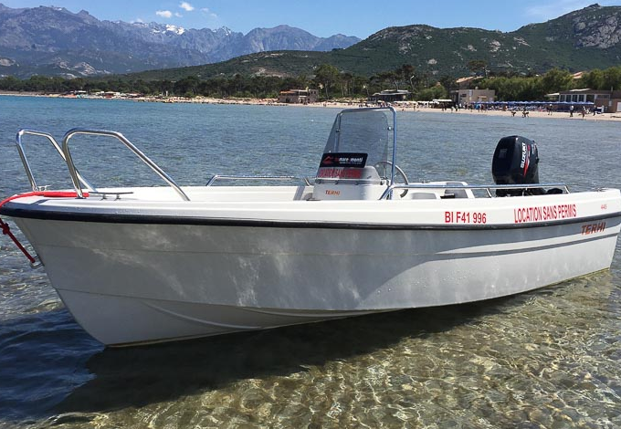 Terhi 445 C