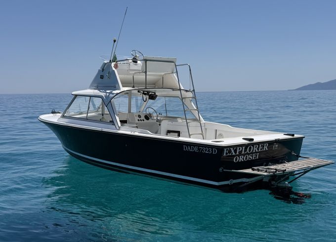 Bertram 25