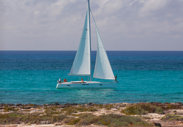 Jeanneau Sun Odyssey 479 - 3 cab.