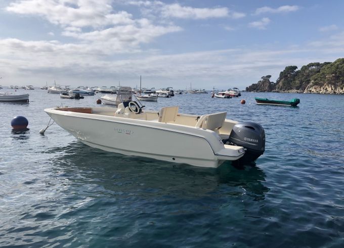 Invictus FX 190