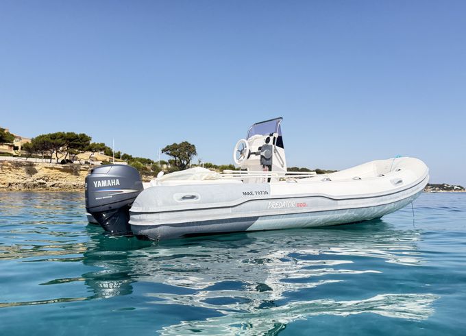 Italboats Predator 500