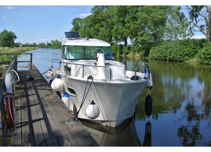 Delphia Escape 800