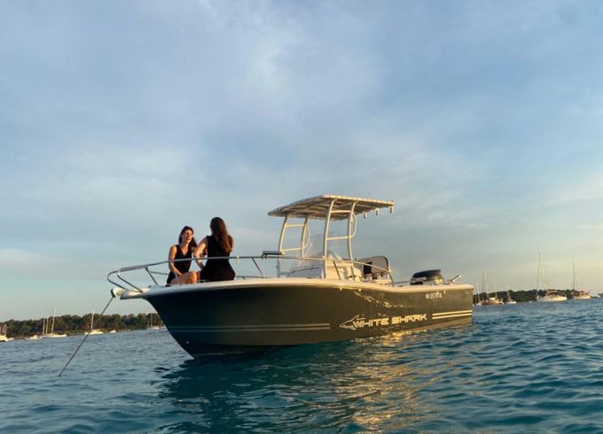 White Shark 206
