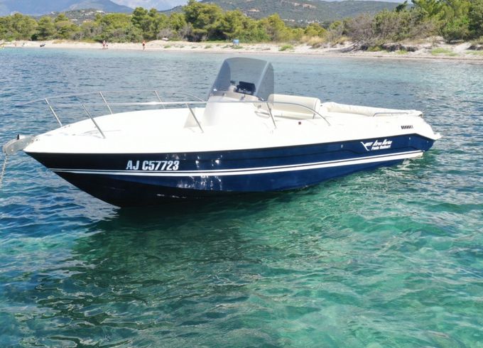 Airon 223 Fish