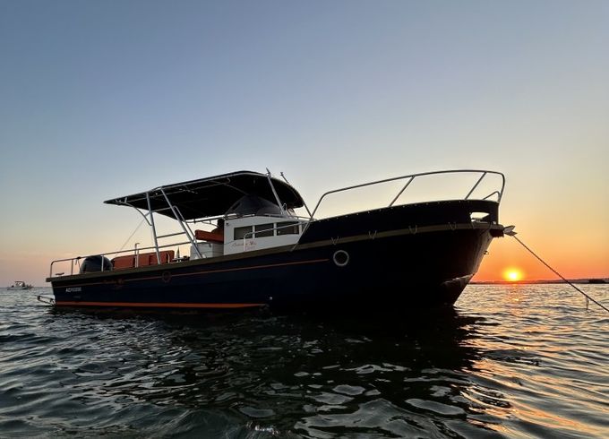 Beacher V10.2 Croisière