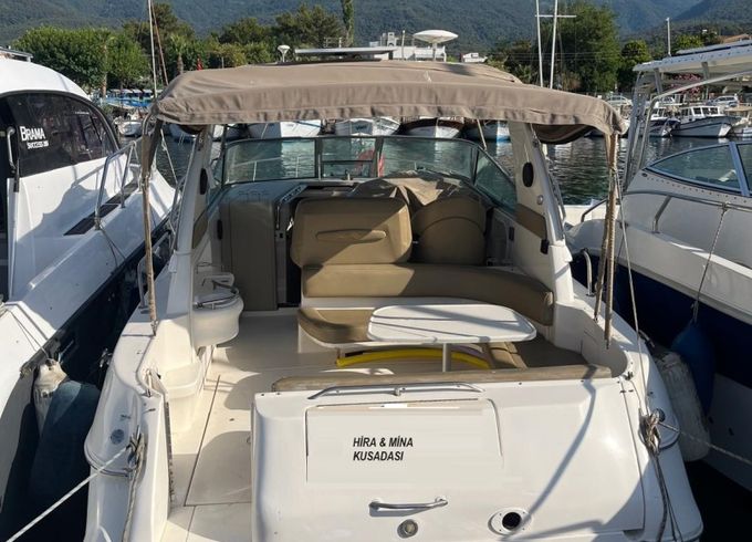 Sea Ray 310 Sundancer