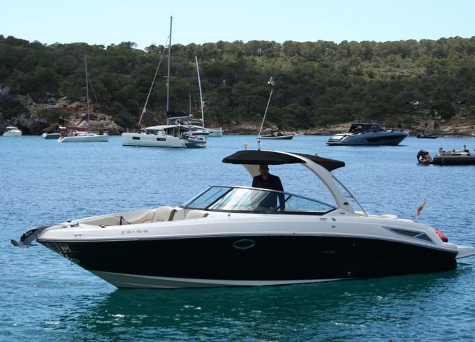 Sea Ray SLX 310