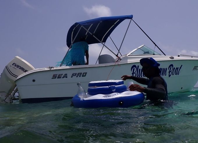Sea Pro 206dc