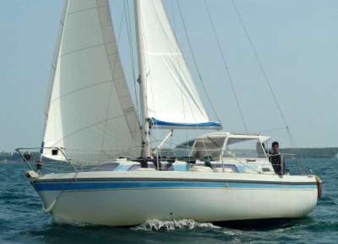 Kirie Fifty 24
