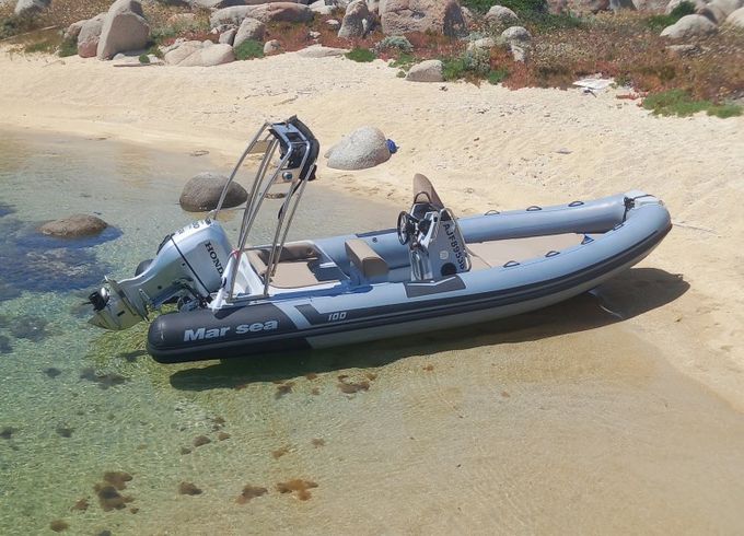 Marsea CM 100