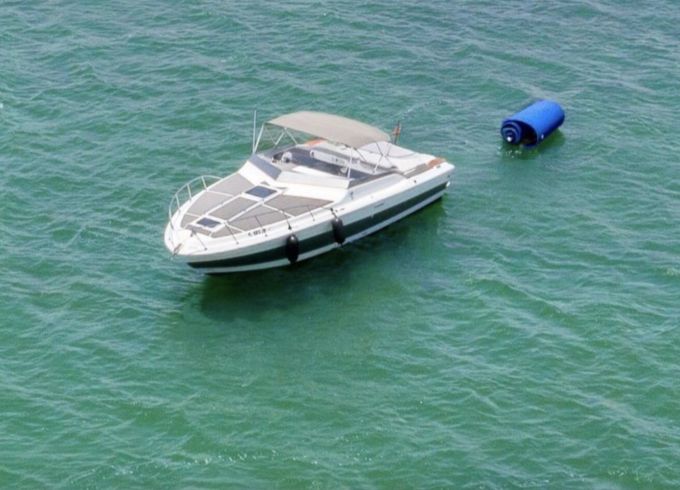 Sirena 42