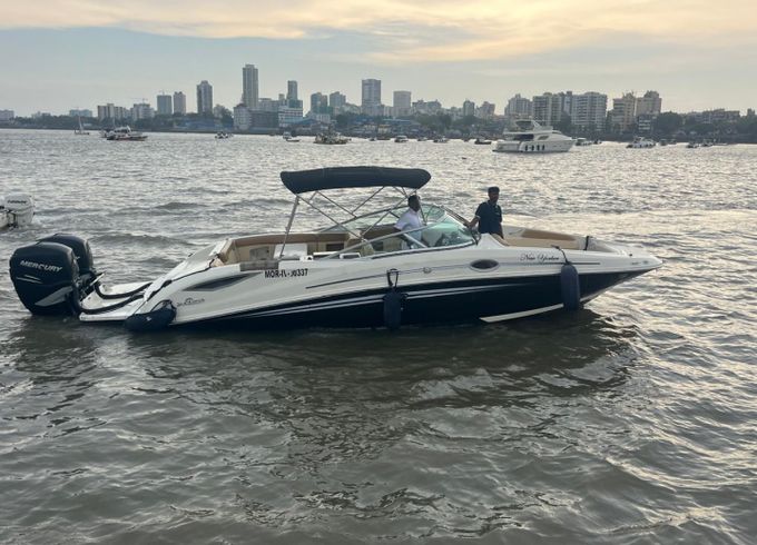 Sea Ray SDX 290