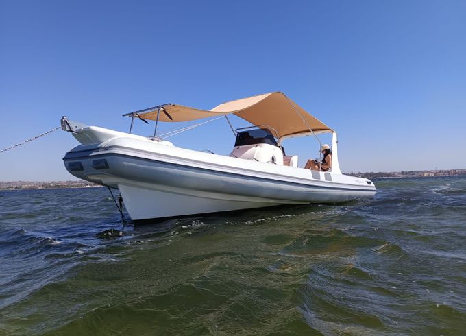Colbac Shark