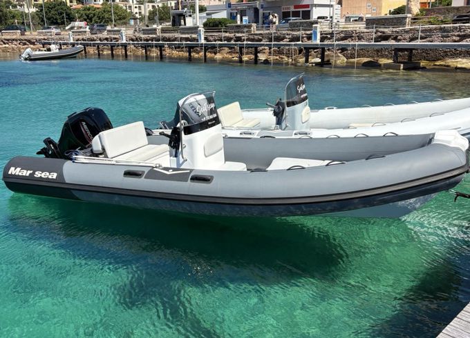 Marsea SP 100