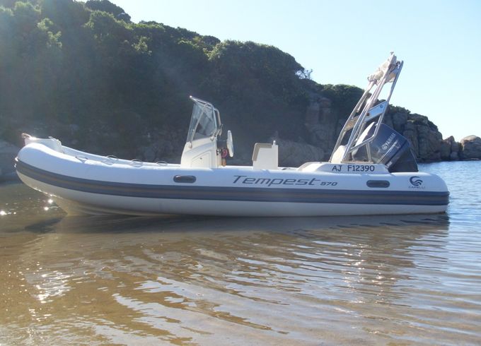 Capelli 570 Luxe
