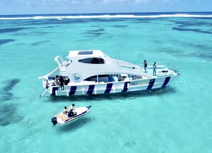 Sea Ray Amberjack 290