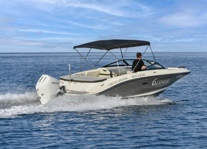 Sea Ray SPX 210 OB