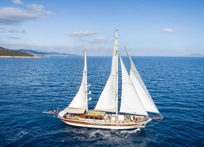 Custom Estrella De Mar