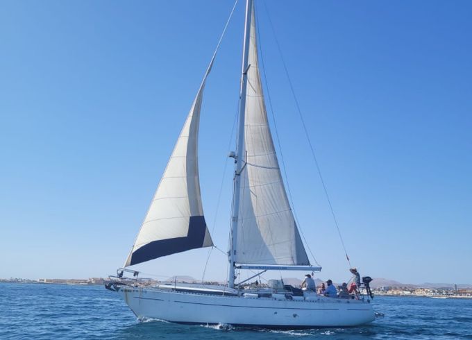 Westwind 37