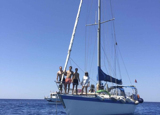 Wauquiez Centurion 41