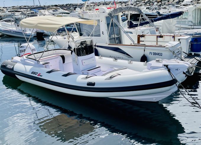 Selva 6.5 family