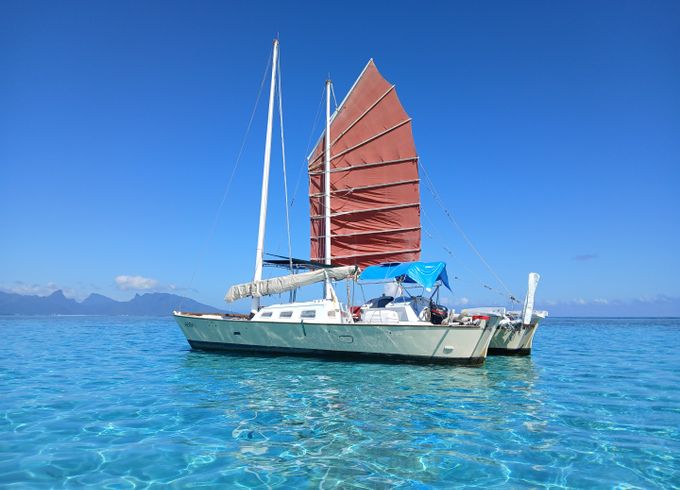 Wharram Tiki 38