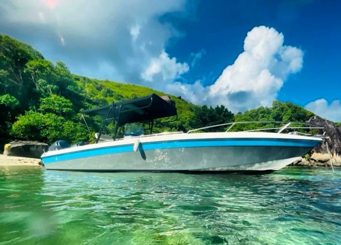 Wellcraft Scarab 302 Sport