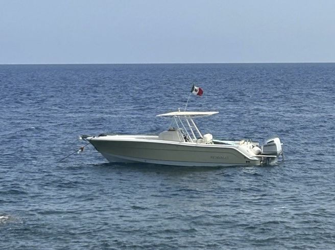 Robalo R30