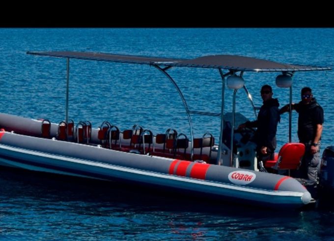 Cobra 38