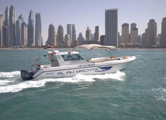 AL ALI 36