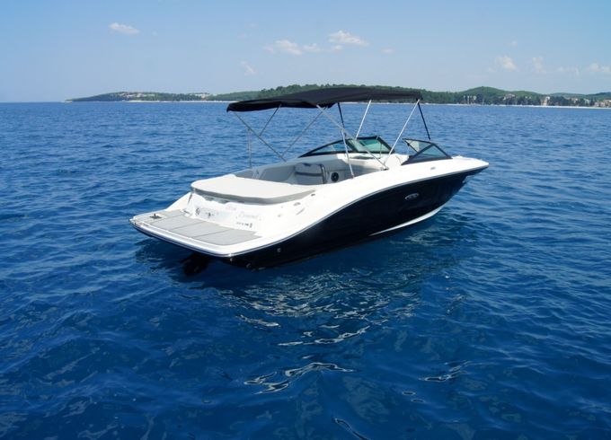 Sea Ray SPX 210