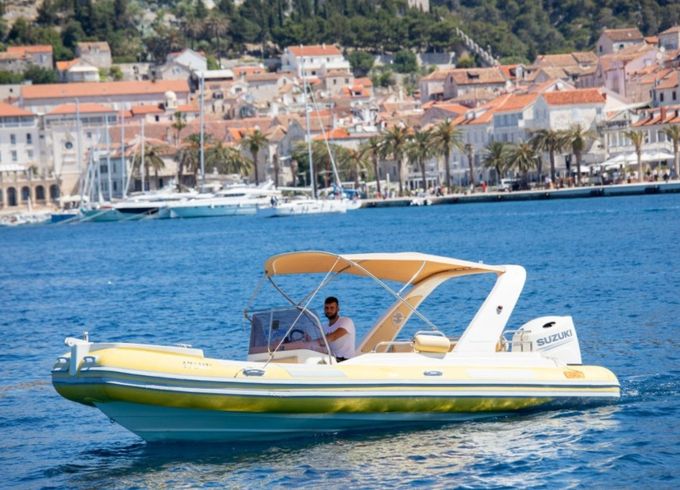 Barracuda 23
