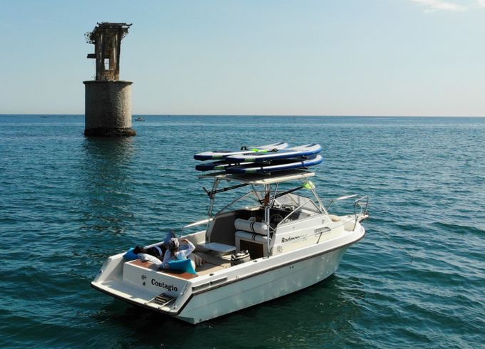 Rodman 790
