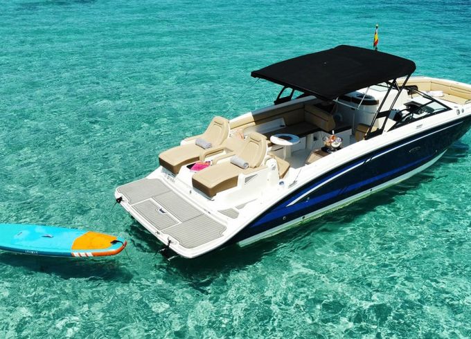 Sea Ray SDX 290