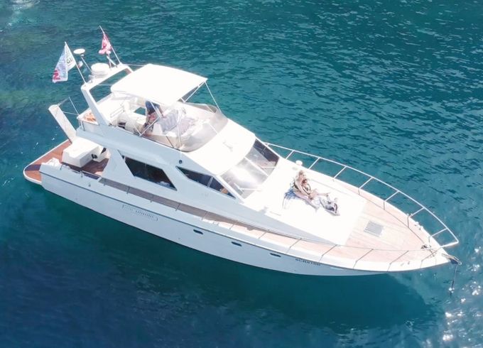 Vz 50 fly