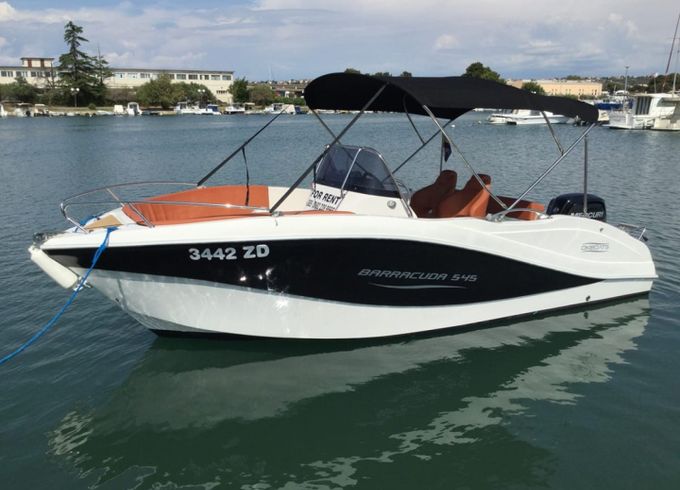 Baracuda 545
