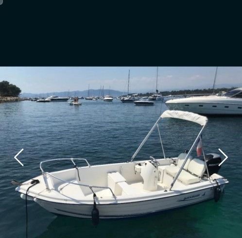 Quicksilver 440 fish