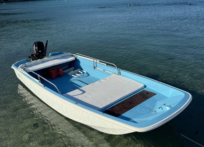 Boston Whaler 13