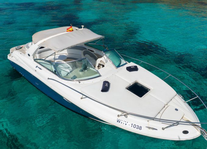 Sea Ray 295